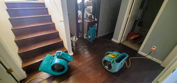 Best Fire Damage Restoration  in Hamilton College, NY