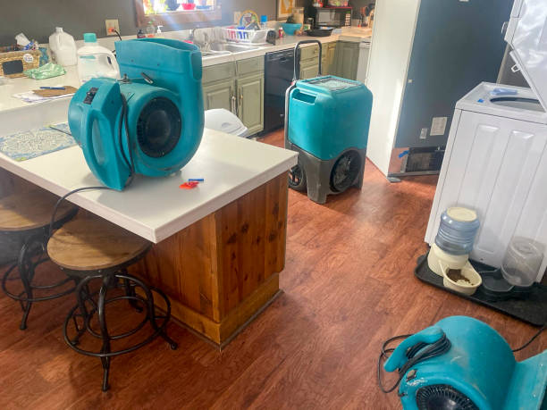 Best Sewage cleanup and water damage restoration  in Hamilton College, NY