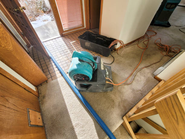 Best 24-hour water damage restoration  in Hamilton College, NY