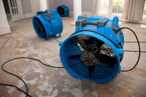 Best Local water damage restoration  in Hamilton College, NY