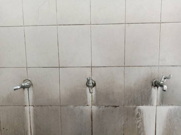 Best Professional water damage repair  in Hamilton College, NY