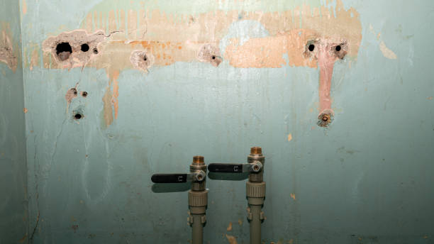 Best Flood restoration services  in Hamilton College, NY